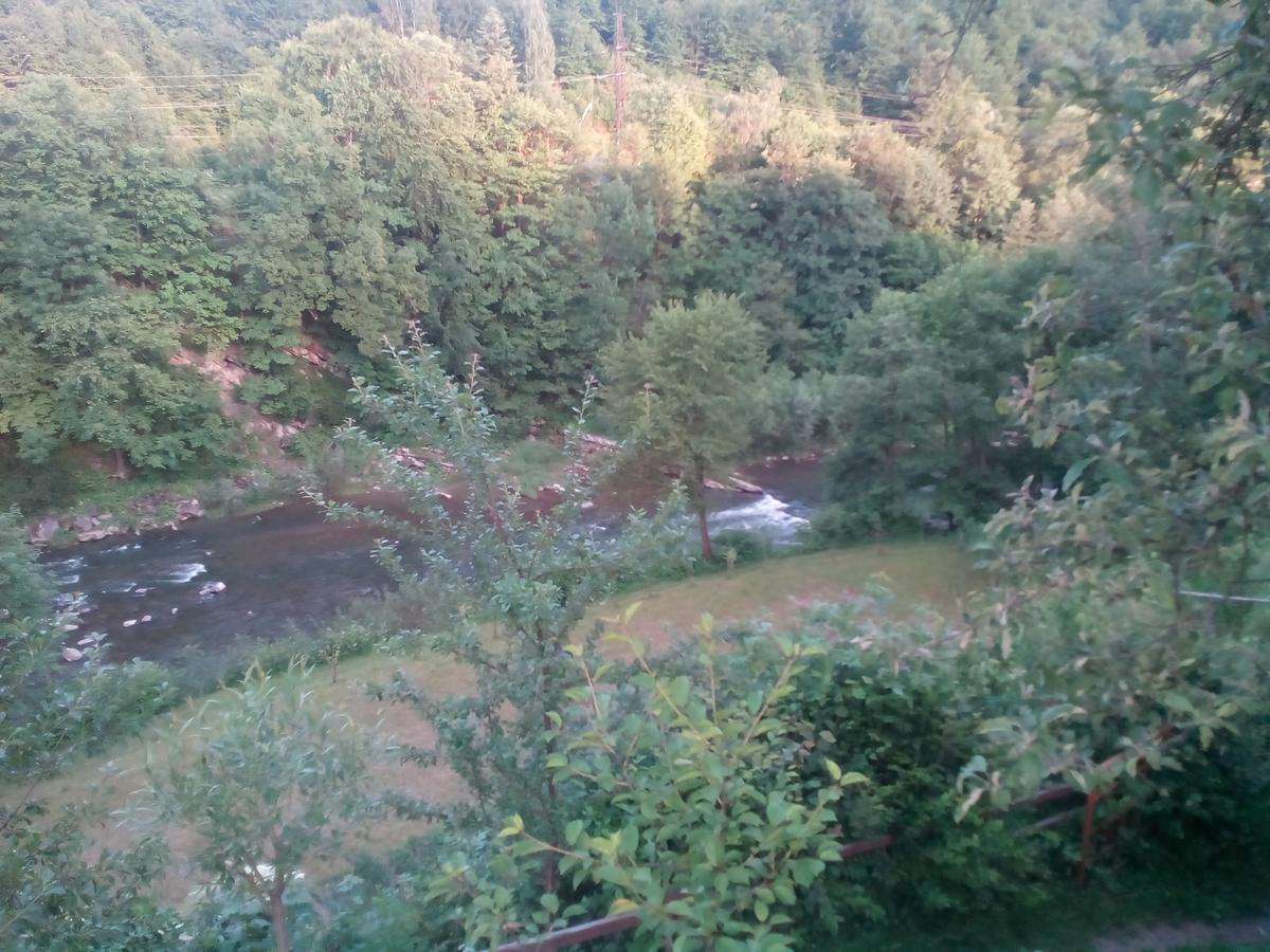 Borgaza Hotel Yaremche Luaran gambar